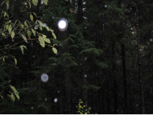 ������ �� ��������, �������� �� �������� ����� ����������� ��������