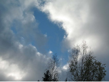 ���� ������ ������ �� ���� ����������