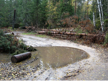 ��������� � ����� ������ �� ������