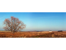 ��� ���������