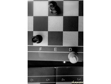 ����� ���� ������!