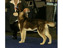 ����������������� �������� ����� "������-2010" �. ������