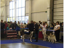 ����������������� �������� ����� "������-2010" �. ������