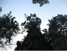 31.10.2010 15:51:23