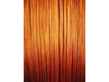 ���� ���������� ���������