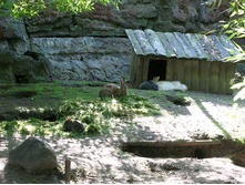 05 �������-�������