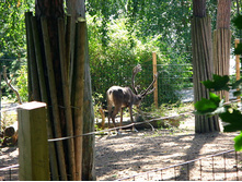 12 ������