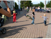 24 �����, ��������� �������!