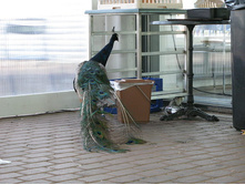 28 ������ - ����� ������, �� ���� ����� �� �����...