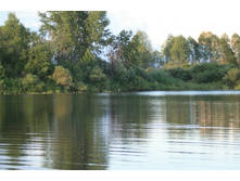 ��� ����� �������? � �����?