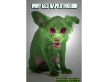 08.11.2010 14:31:06