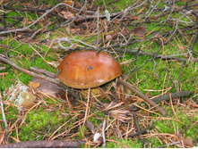 08.11.2010 18:16:11
