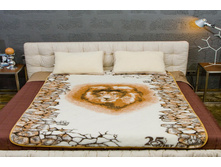 �-0966 2002��� 210*145