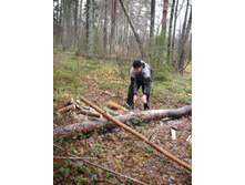 ������-������