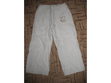 100 ������