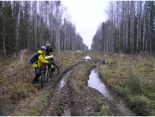 ���� ������