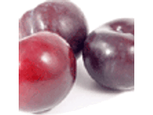 ����� ����� 25�� - 210�