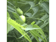 ����� ��� 50 �� -140 �
