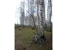 ���-�� ����� ���������� � ���������