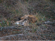 �������� ������� � ������������