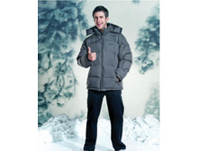 ������ ������� ���� 3100