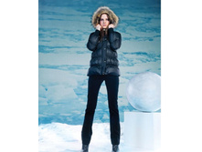 ���������� ������� ���� 3300