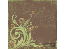 ���� ������ Wild Saffron. ���� 20 ��� + %