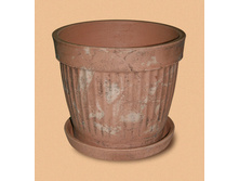 ����� 40�