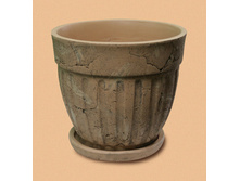 ���� 40 �.