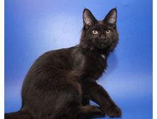 18.11.2010 13:49:38