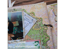 5 ��������