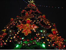 ��� ����