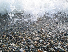 ���� �����