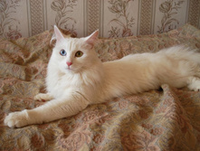 �� ��� ��������� ������...)