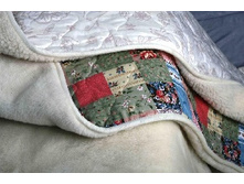 ������ �������