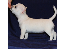 ��������� ������