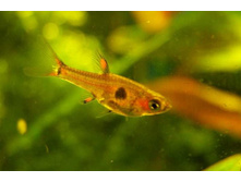 ������������ "��������"