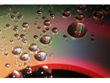 �� �����! �� ������ �������!