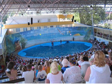 �������� �������