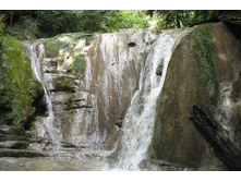 33 �������� (2)