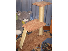 ������ �������