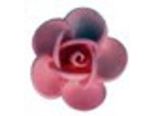 ���.�����13007