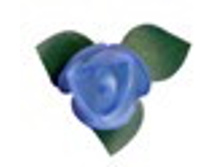 ���.�����