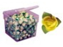 ���.�����