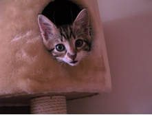 �� ������