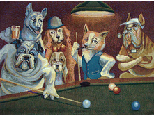 �������   75.0x55.0 ��  800���