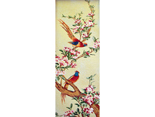 ����� ������   43.0x103.0 ��  850���