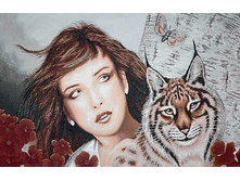 ������� � �����   80.0x50.0 ��    800���