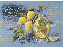 �����   48.0x35.0 ��  500���