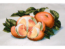    �����   24.0x17.0 ��    220���